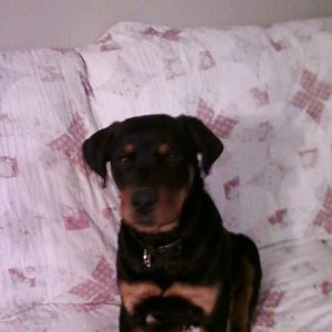 Meet your Posher, Nancy